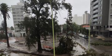 En Bahía Blanca hablan de "catástrofe", con muertes, heridos y evacuado (gentileza).