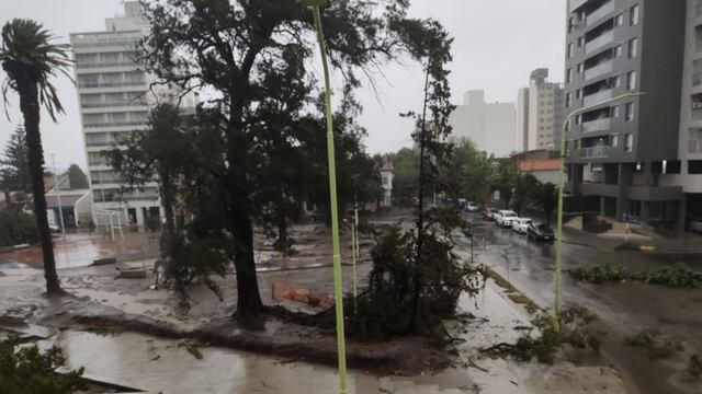 En Bahía Blanca hablan de "catástrofe", con muertes, heridos y evacuado (gentileza).