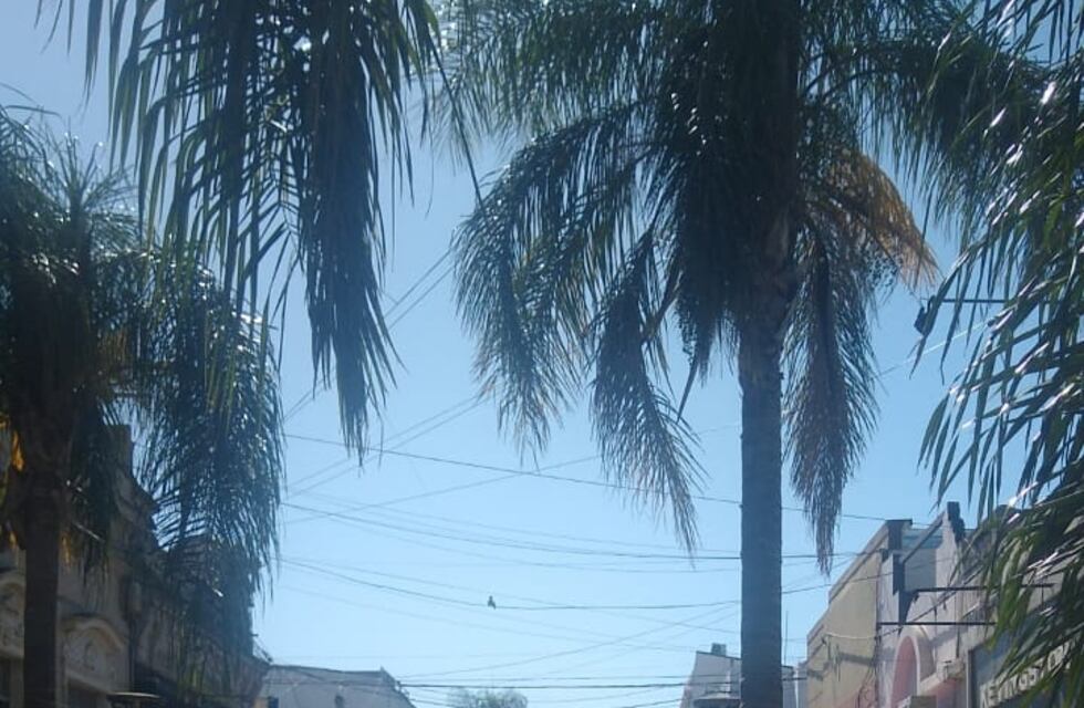 El comercio de Gualeguaychú afirma que la ciudad no ha sido elegida como destino turístico