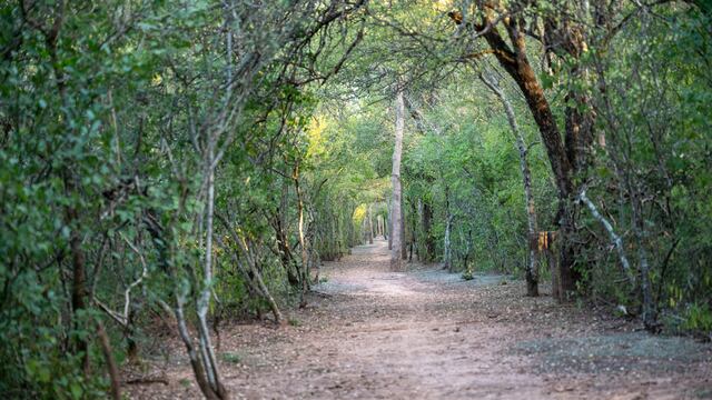El plan de manejo o de gestión de un área protegida sirve para organizar las acciones necesarias para que ésta cumpla con los objetivos para los que fue creada.