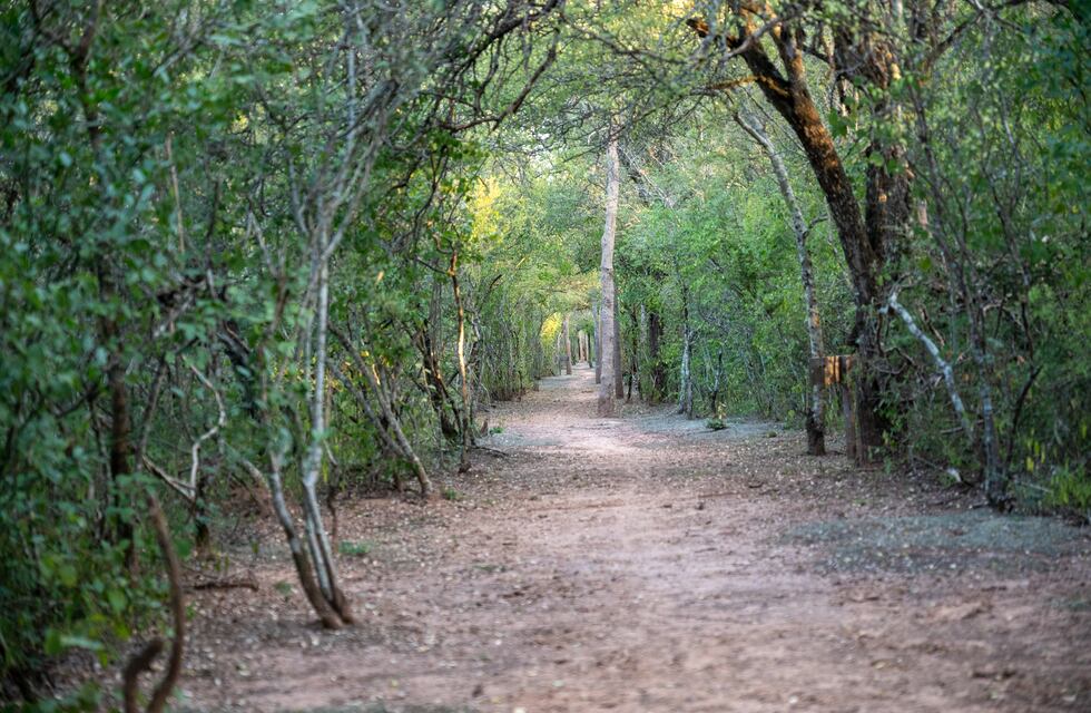Ambiente avanza en la elaboración de los planes de gestión de los parques provinciales Loro Hablador y Pampa del Indio