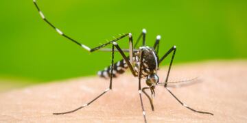 Las regiones de Córdoba más afectadas por dengue.