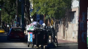 El particular visitante fue visto en las calles de la ciudad de Córdoba. (Pedro Castillo / La Voz / Ilustrativa)