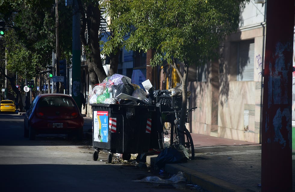 Captaron un animal de gran tamaño en Córdoba: las imágenes de la insólita aparición