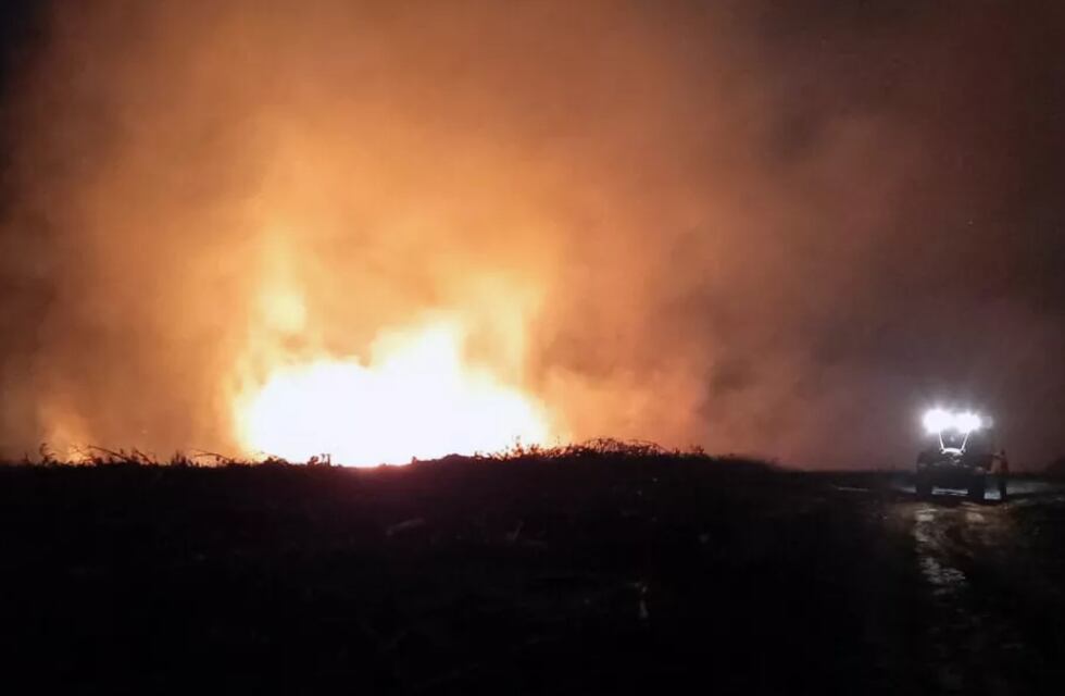 Varios focos de incendios sofocados en Wanda