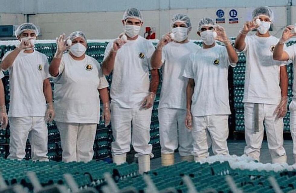 Conflicto Avícola Santa Ana y SENASA: la empresa correntina nuevamente dio negativo en el test de Gripe Aviar