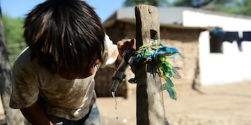 La problemática del agua potable en el norte golpea con especial fiereza a las comunidades oroginarias.