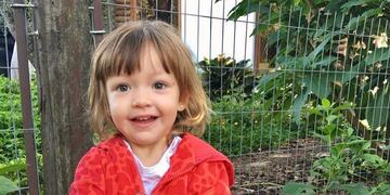 Jazmín, la niña de tres años que se hizo viral por tener sapos como mascotas.