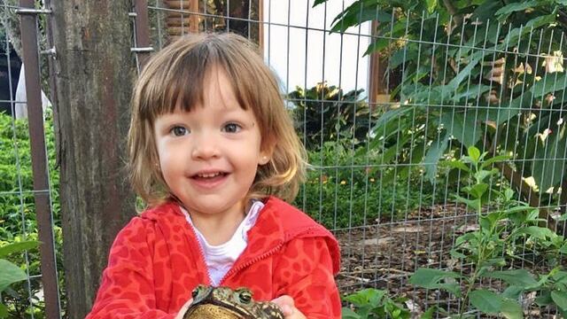 Jazmín, la niña de tres años que se hizo viral por tener sapos como mascotas.