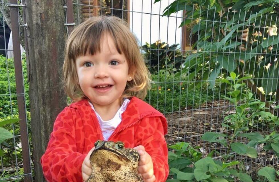 Corrientes: una nena de tres años se volvió viral por tener sapos como mascotas