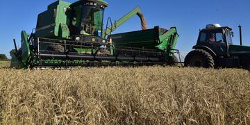 Fotografía Martín Lampayas