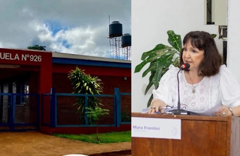 Oberá: concejal exige al intendente que fumigue las escuelas antes del inicio de clases