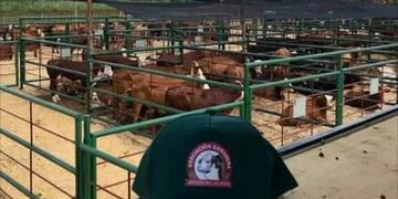 Organizan un remate ganadero en Capioví para el domingo 19 de diciembre.