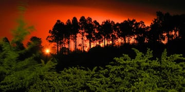 Fuegos. En Córdoba, el cambio climático implicaría lluvias más intensas, pero también sequías más agudas. Y en ese caso, el riesgo de incendios forestales va en aumento (La Voz / Archivo)