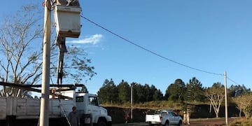 Energía de Misiones trabaja en el cambio de postes eléctricos en Bernado de Irigoyen