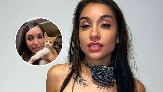 María Becerra reveló que tiene 12 gatos y contó la divertida anécdota de cómo los adoptó