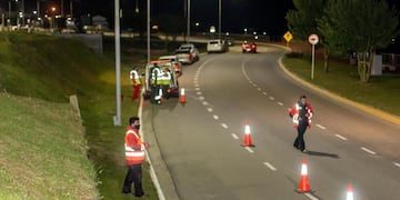 Los controles se realizaron en conjunto entre nación y la provincia.