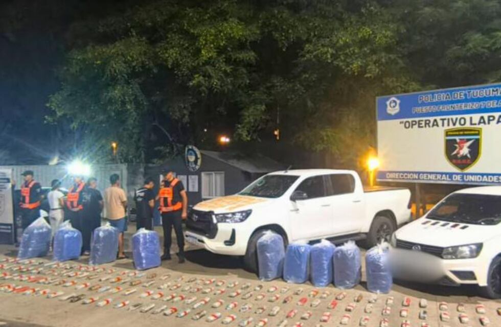 Decomisan 400 kilos de hojas de coca en el marco del Operativo Lapacho