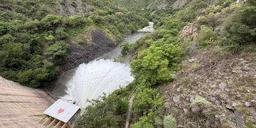 La Cola de la Novia en enero 2026