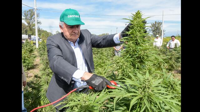 El primer corte estuvo a cargo del gobernador Gerardo Morales.