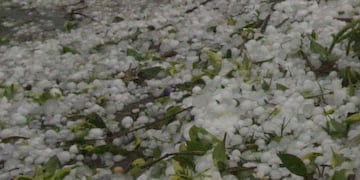 Tras la intensa caída de granizo, ya hay 15 denuncias de productores por asistencia. Imagen ilustrativa
