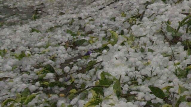 Tras la intensa caída de granizo, ya hay 15 denuncias de productores por asistencia. Imagen ilustrativa