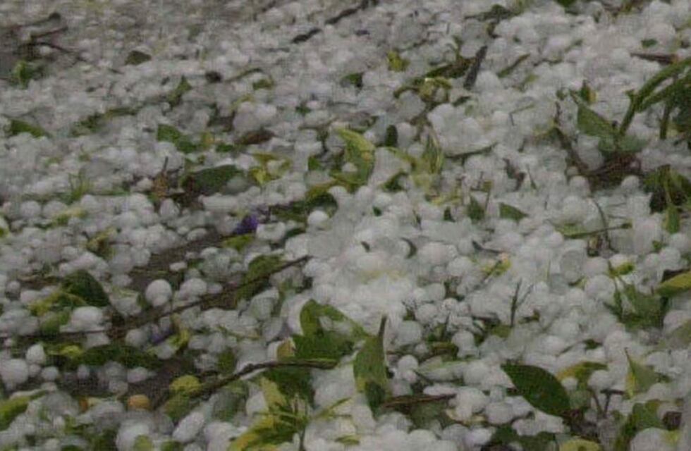 Ya hubo al menos 15 denuncias de productores que sufrieron pérdidas por el granizo en San Juan