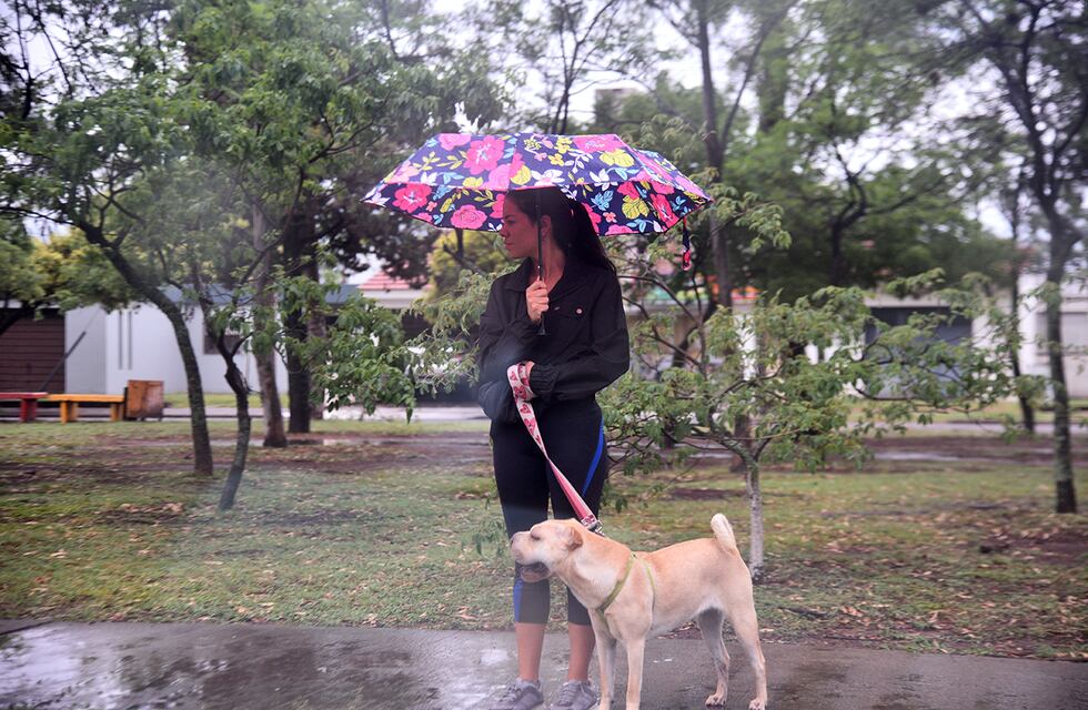 ¿Cuándo dejará de llover?: cómo estará el tiempo este domingo 1 de diciembre en Córdoba