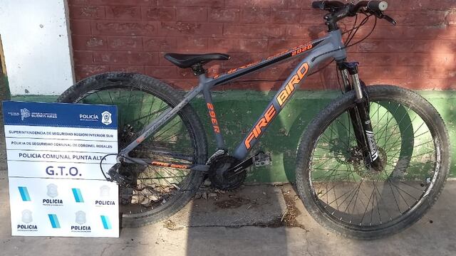 Quedó imputado un menor por el robo de una bicicleta