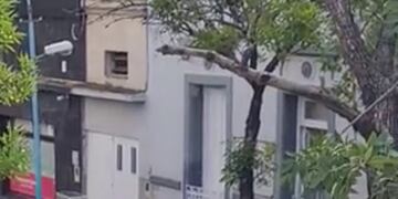 Abuelos en un geriátrico no se quisieron perder los festejos por la final