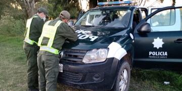 Intentaron robar una vaca