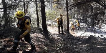 Debido a la sequía, muchos focos de incendio se mantienen activos. Twitter @AgroRuralNotici