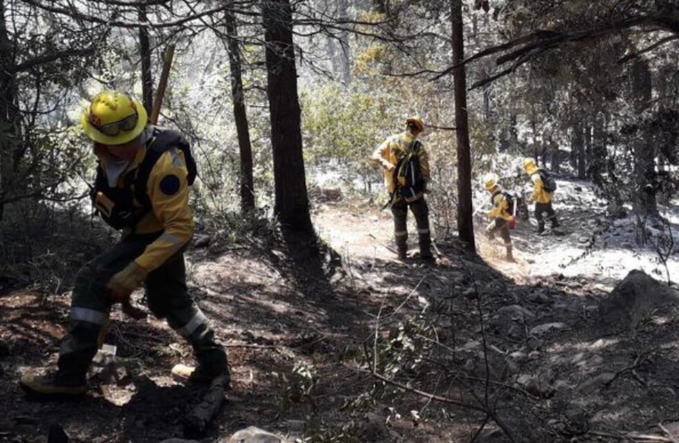 Incendio en la Patagonia: continúan las tareas para sofocar las llamas y Nación dispuso más recursos