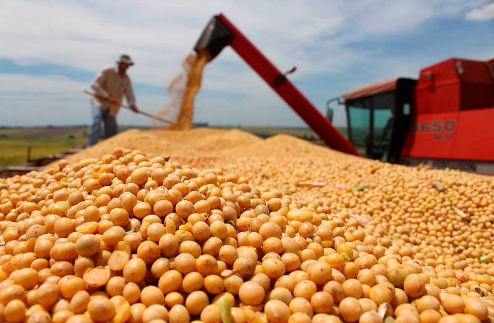 Cierre de exportaciones de harina de soja: declaran alerta en Santa Fe