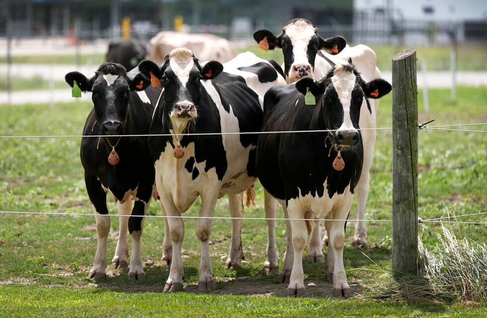 Según la Sociedad Rural de Rafaela, “La inseguridad no cesa en el campo”