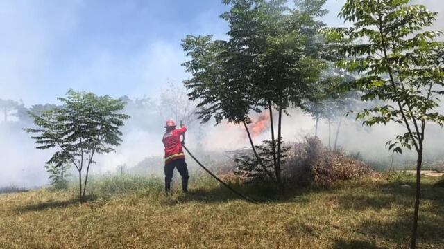 Tres focos de incendios sofocados en Oberá y Mártires.