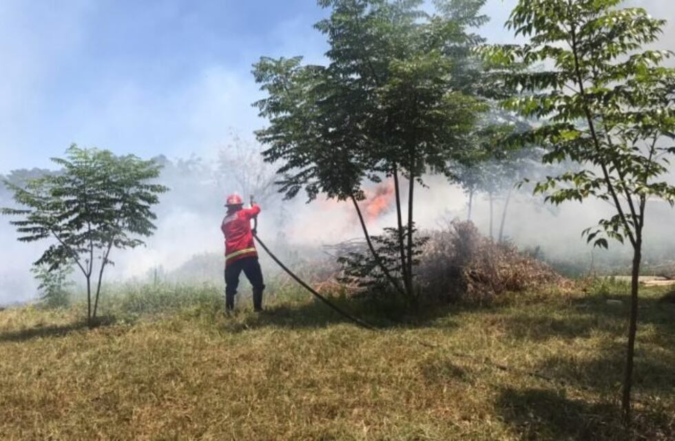 Misiones: en las últimas 24 horas se registraron una docena de incendios en varias localidades