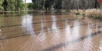 Anuncian tormentas severas para este jueves en todo el rus mendocino.