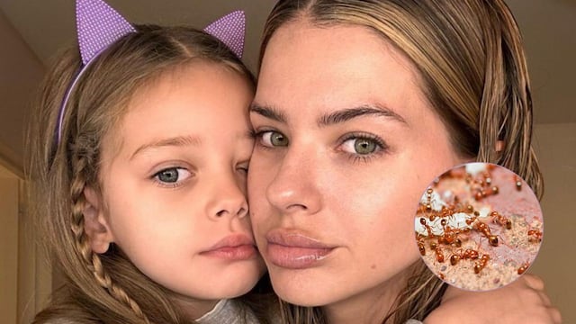 ¿Qué significa soñar con bichos venenosos?: la pesadilla que tuvo Magnolia, la hija de la China Suárez