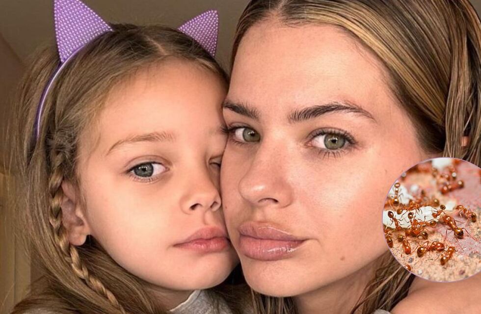 Qué significa soñar con bichos venenosos: la pesadilla que tuvo Magnolia, la hija de la China Suárez