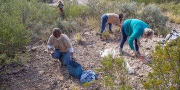 Un grupo de jóvenes organizados por la Ciudad de Mendoza y la fundación Cullunche plantaron semilas autócotnas en el Parque Deportivo de Montaña. Gentileza MCM