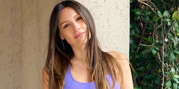 Nuevos detalles del robo en la casa de Pampita.