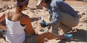 Hallaron una nueva especie de cocodrilo prehistórico.