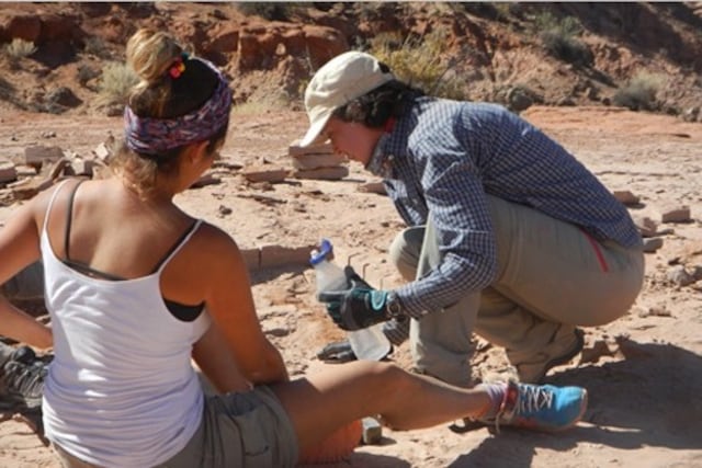 Hallaron una nueva especie de cocodrilo prehistórico.