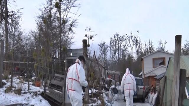Hallan muerta a una médica en Tolhuin y detienen a su pareja