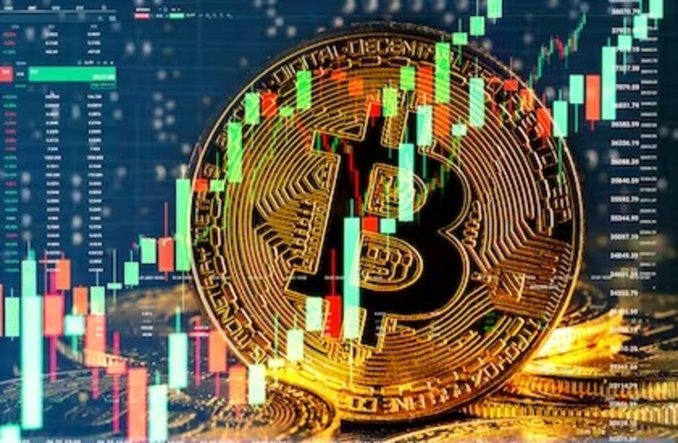 Dólar cripto hoy: a cuánto cotiza el día de la asunción de Javier Milei