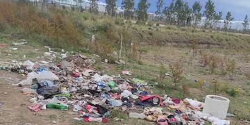 Limpian dos basurales clandestinos