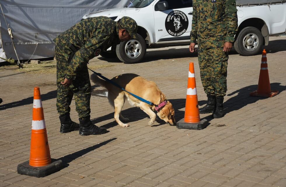 Talleres de prevención y primeros auxilios