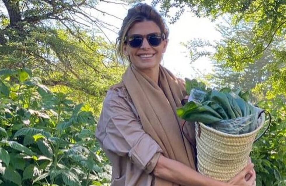 Conocé cómo es el jugo energético con el que Juliana Awada arranca todas las mañanas