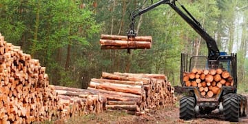 Se realizaron importantes inversiones en el sector en Misiones.